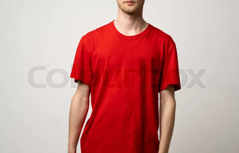 Mens Regular Fit Casual T-Shirt