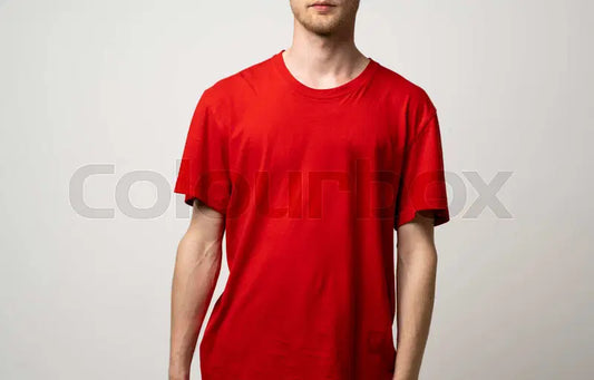Mens Regular Fit Casual T-Shirt